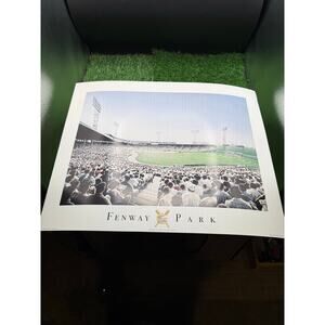 Fenway Park, Boston, MA Panoramic Art Print – Daryl Vlasak